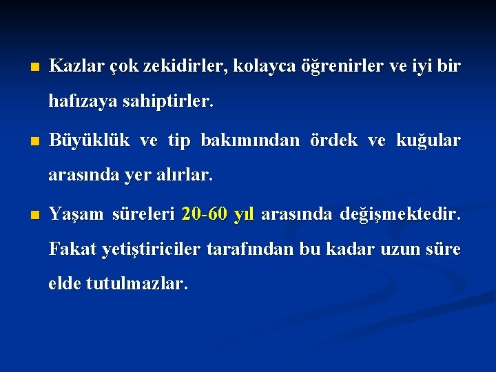 n Kazlar çok zekidirler, kolayca öğrenirler ve iyi bir hafızaya sahiptirler. n Büyüklük ve