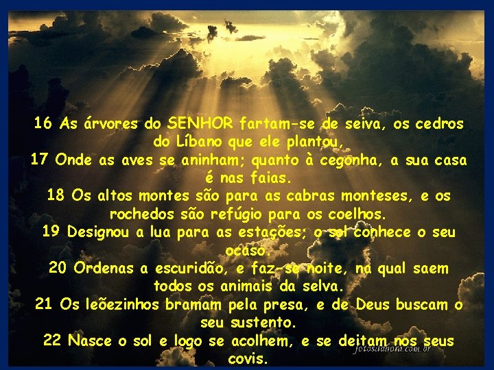 16 As árvores do SENHOR fartam-se de seiva, os cedros do Líbano que ele 16 As árvores do SENHOR fartam-se de seiva, os cedros do Líbano que ele