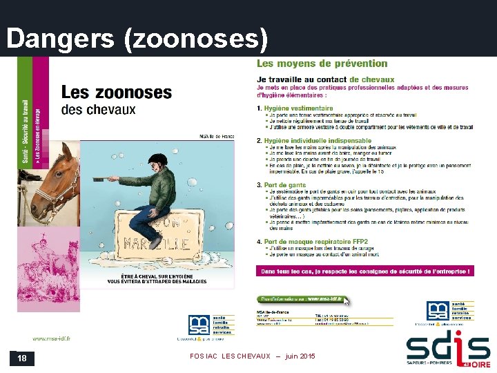 Dangers (zoonoses) 18 FOS IAC LES CHEVAUX – juin 2015 