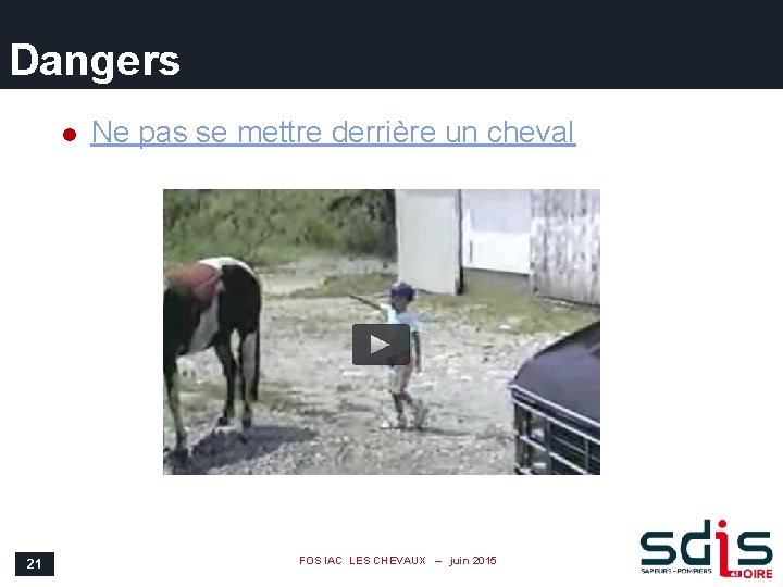 Dangers l 21 Ne pas se mettre derrière un cheval FOS IAC LES CHEVAUX