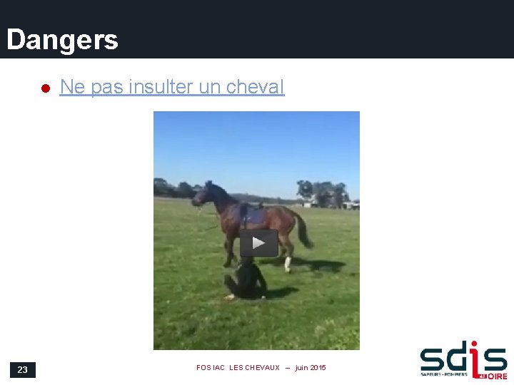 Dangers l 23 Ne pas insulter un cheval FOS IAC LES CHEVAUX – juin