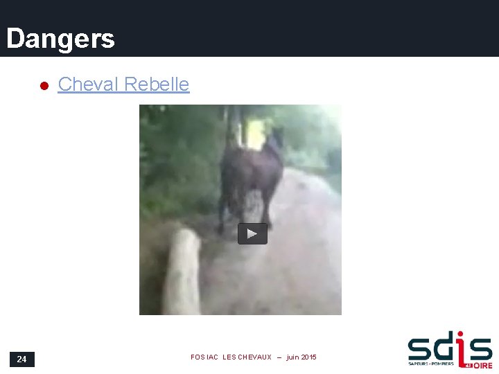 Dangers l 24 Cheval Rebelle FOS IAC LES CHEVAUX – juin 2015 