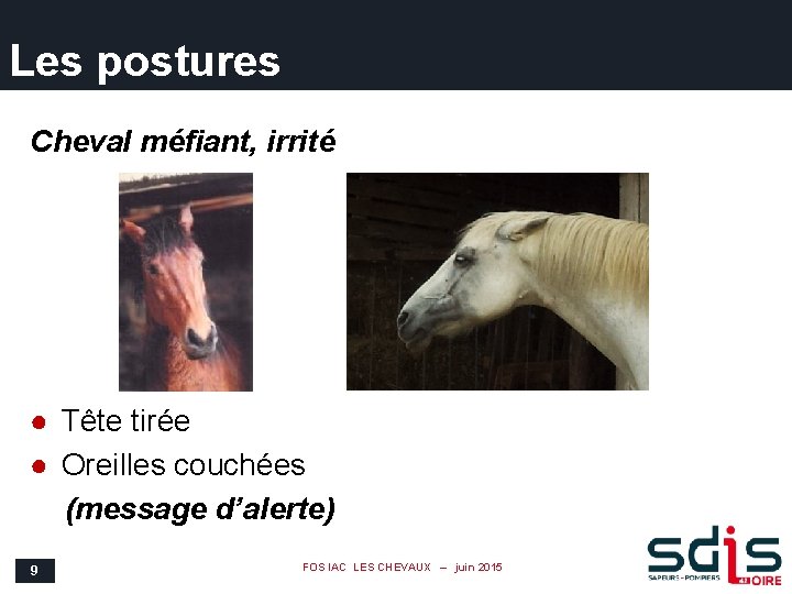 Les postures Cheval méfiant, irrité ● Tête tirée ● Oreilles couchées (message d’alerte) 9