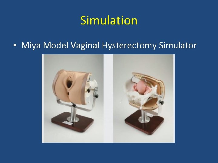 Simulation • Miya Model Vaginal Hysterectomy Simulator 