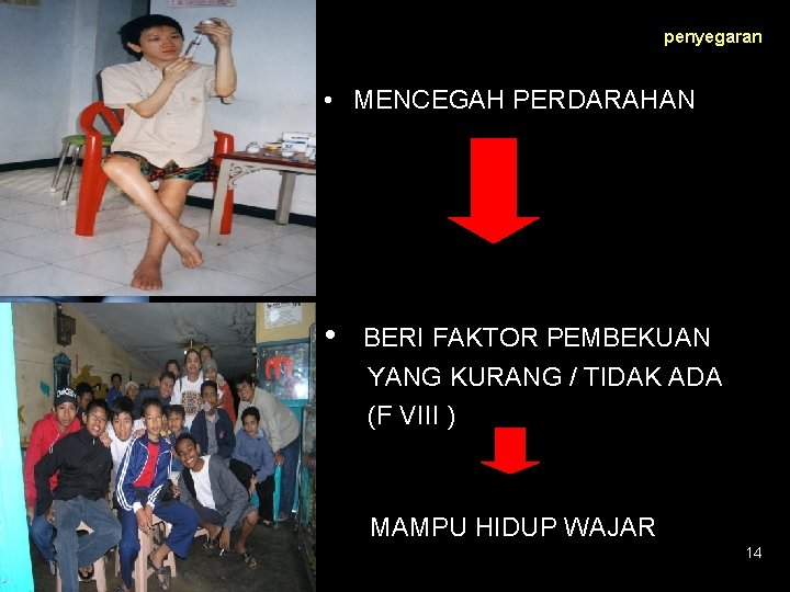 penyegaran • MENCEGAH PERDARAHAN • BERI FAKTOR PEMBEKUAN YANG KURANG / TIDAK ADA (F