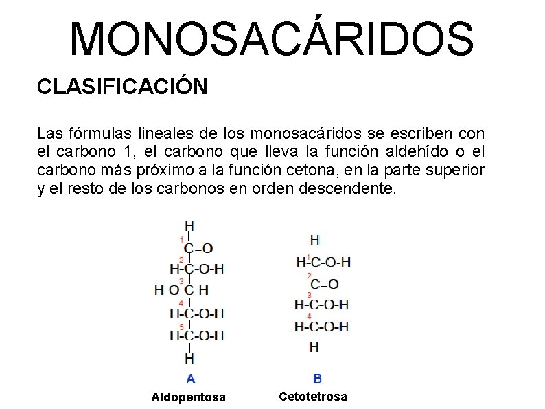 MONOSACÁRIDOS CLASIFICACIÓN Las fórmulas lineales de los monosacáridos se escriben con el carbono 1,