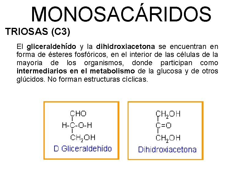 MONOSACÁRIDOS TRIOSAS (C 3) El gliceraldehído y la dihidroxiacetona se encuentran en forma de