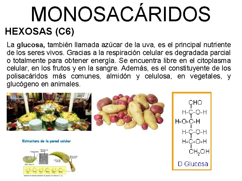MONOSACÁRIDOS HEXOSAS (C 6) La glucosa, también llamada azúcar de la uva, es el