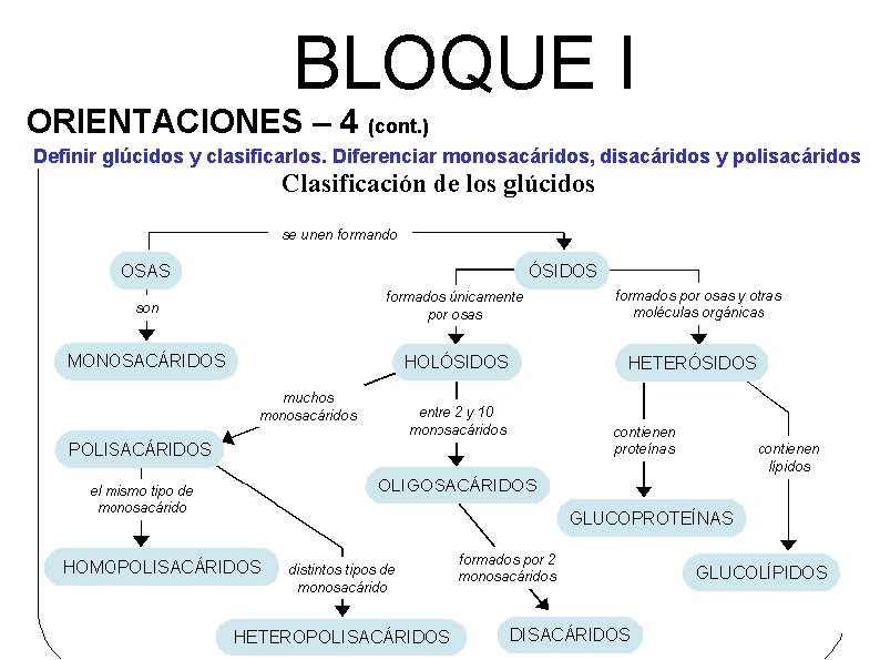 BLOQUE I ORIENTACIONES – 4 (cont. ) Definir glúcidos y clasificarlos. Diferenciar monosacáridos, disacáridos