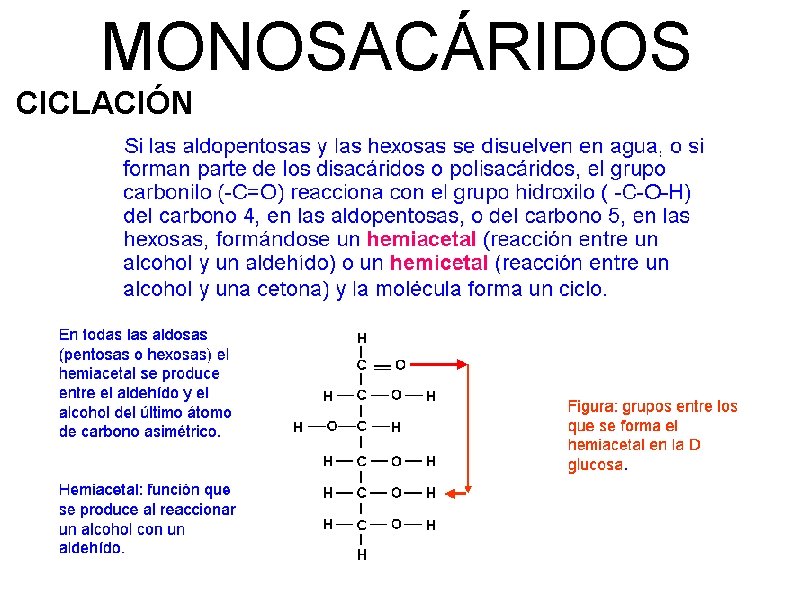 MONOSACÁRIDOS CICLACIÓN 