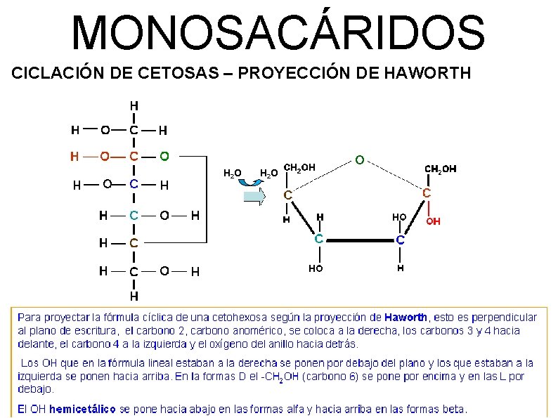 MONOSACÁRIDOS CICLACIÓN DE CETOSAS – PROYECCIÓN DE HAWORTH H 2 O 