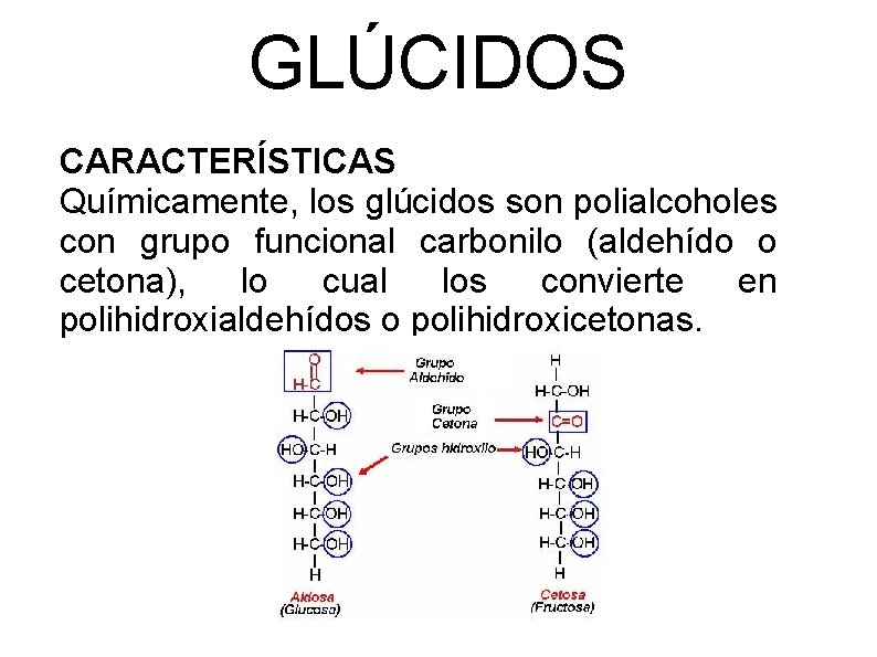 GLÚCIDOS CARACTERÍSTICAS Químicamente, los glúcidos son polialcoholes con grupo funcional carbonilo (aldehído o cetona),