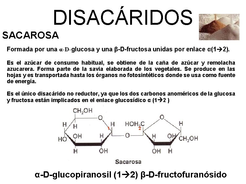 DISACÁRIDOS SACAROSA Formada por una α-D-glucosa y una β-D-fructosa unidas por enlace α(1 2).