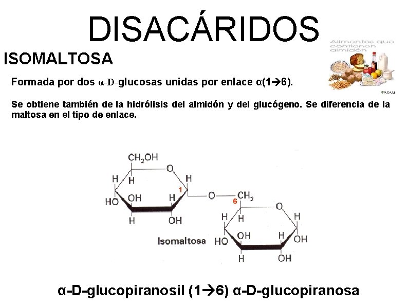 DISACÁRIDOS ISOMALTOSA Formada por dos α-D-glucosas unidas por enlace α(1 6). Se obtiene también