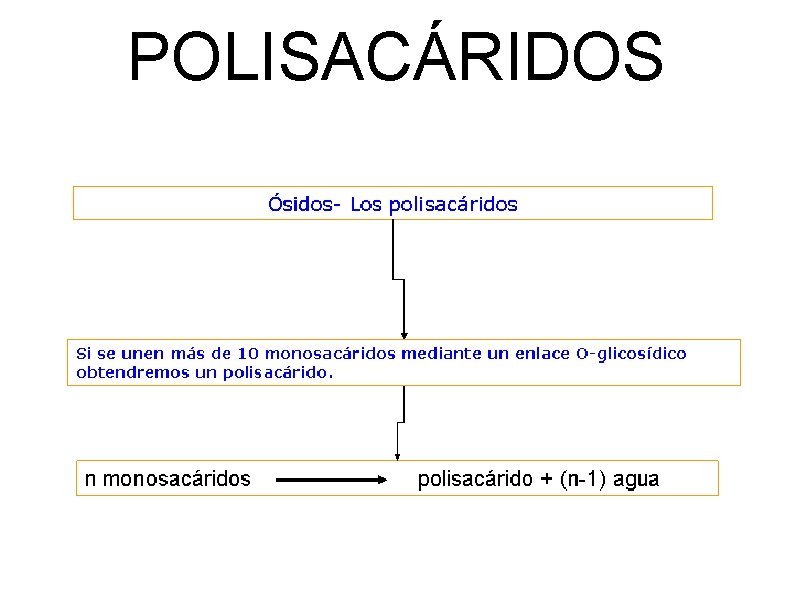 POLISACÁRIDOS 