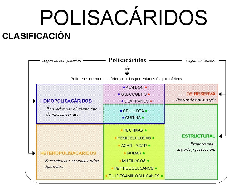 POLISACÁRIDOS CLASIFICACIÓN 