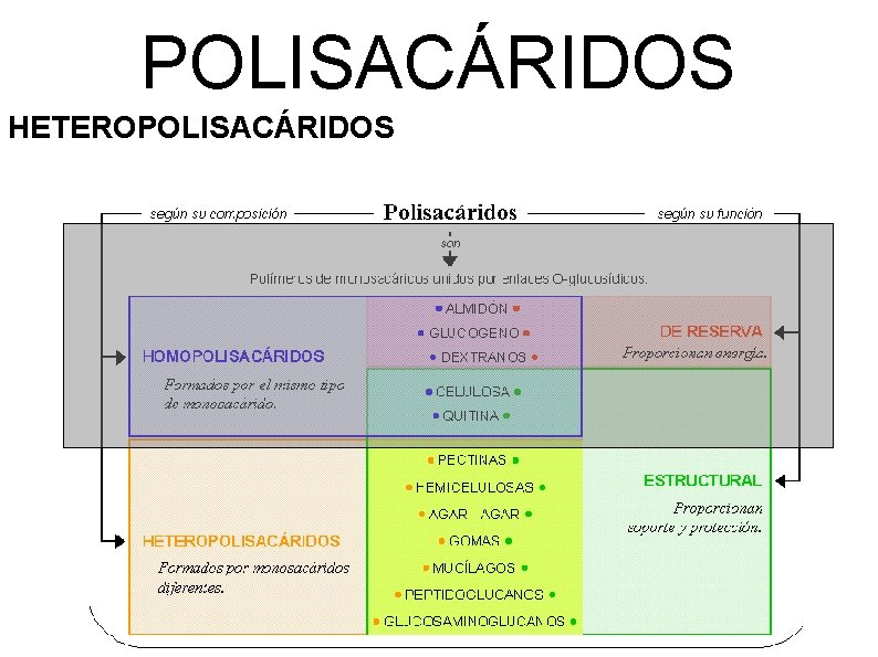 POLISACÁRIDOS HETEROPOLISACÁRIDOS 