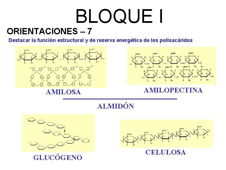 BLOQUE I ORIENTACIONES – 7 Destacar la función estructural y de reserva energética de