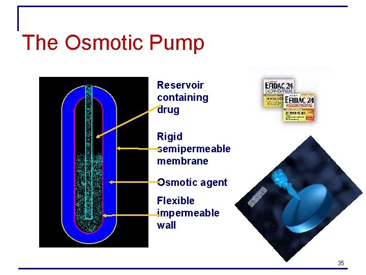 The Osmotic Pump Reservoir containing drug Rigid semipermeable membrane Osmotic agent Flexible impermeable wall