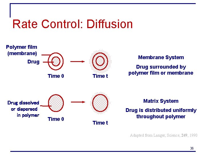 Rate Control: Diffusion Polymer film (membrane) Membrane System Drug Time 0 Drug dissolved or