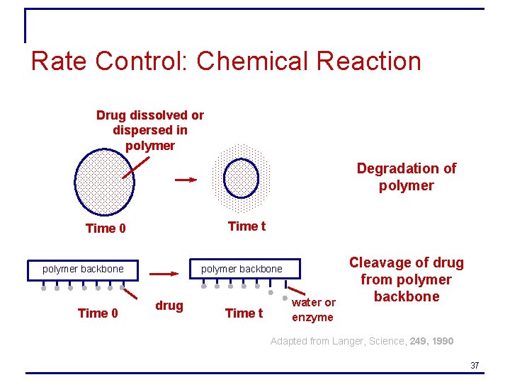 Rate Control: Chemical Reaction Drug dissolved or dispersed in polymer Degradation of polymer Time