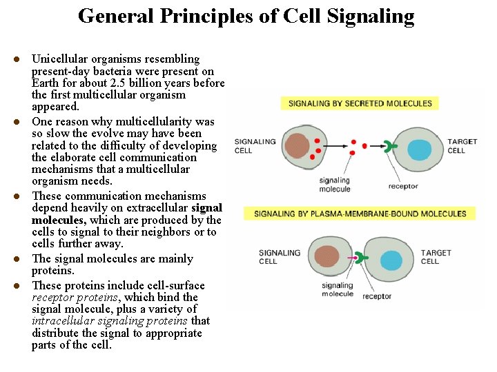 General Principles of Cell Signaling l l l Unicellular organisms resembling present-day bacteria were