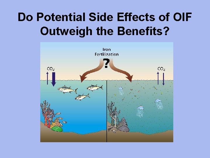 Do Potential Side Effects of OIF Outweigh the Benefits? 