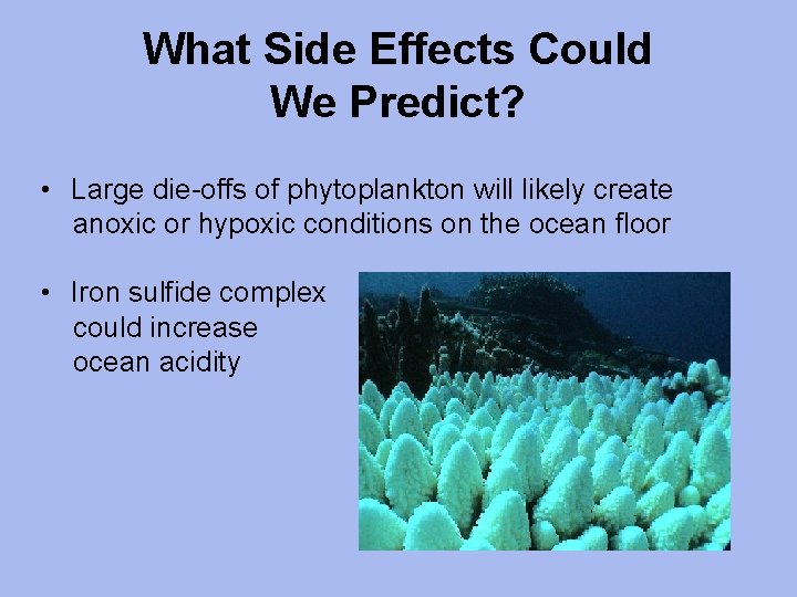 What Side Effects Could We Predict? • Large die-offs of phytoplankton will likely create