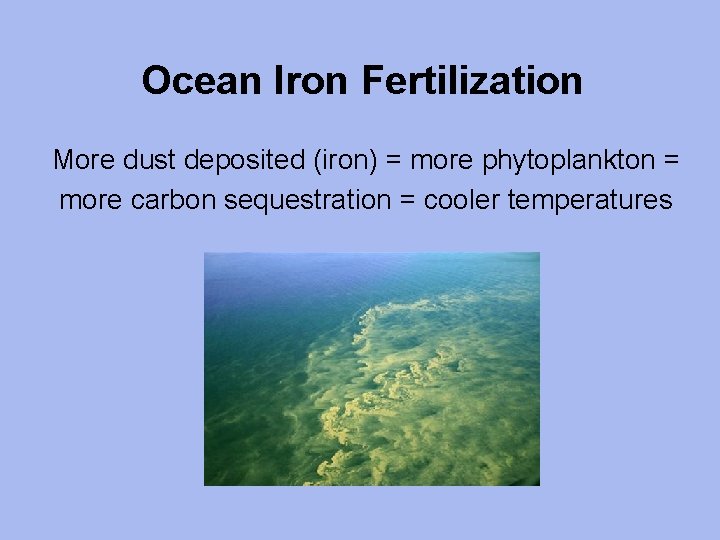 Ocean Iron Fertilization More dust deposited (iron) = more phytoplankton = more carbon sequestration