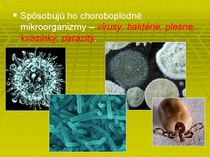 § Spôsobujú ho choroboplodné mikroorganizmy – vírusy, baktérie, plesne, kvasinky, parazity. 