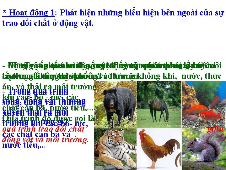 * Hoạt động 1: Phát hiện những biểu hiện bên ngoài của sự trao