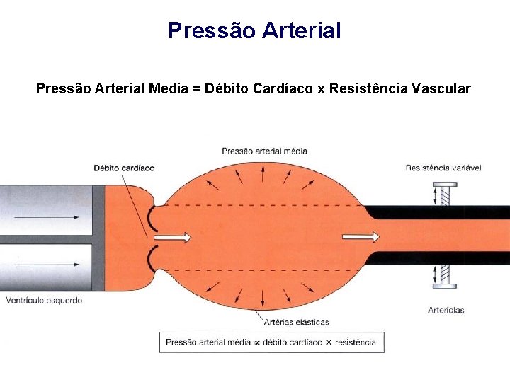 Pressão Arterial Media = Débito Cardíaco x Resistência Vascular 