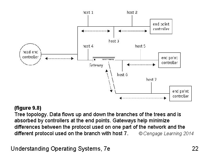 (figure 9. 8) Tree topology. Data flows up and down the branches of the