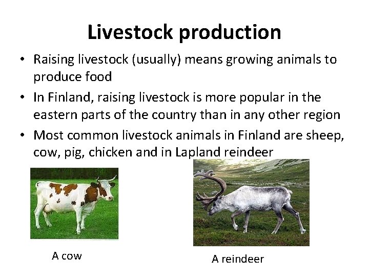 Livestock production • Raising livestock (usually) means growing animals to produce food • In