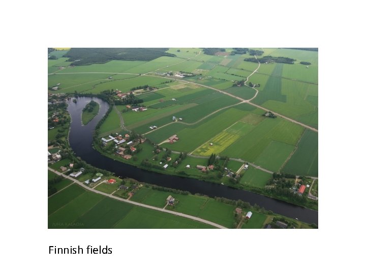 Finnish fields 