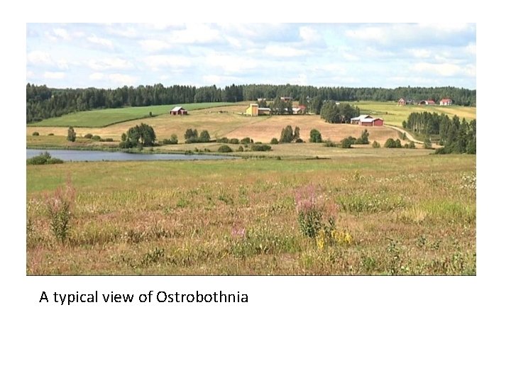 A typical view of Ostrobothnia 