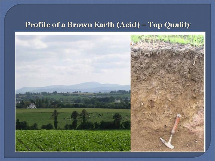 Profile of a Brown Earth (Acid) – Top Quality 