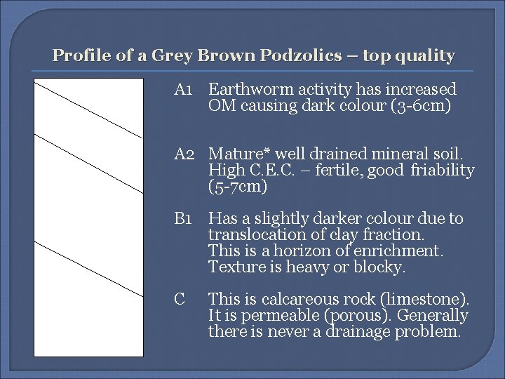 Profile of a Grey Brown Podzolics – top quality A 1 Earthworm activity has