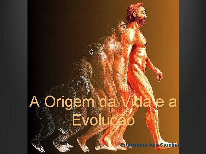 A Origem da Vida e a Evolução Professora Ana Carolina 