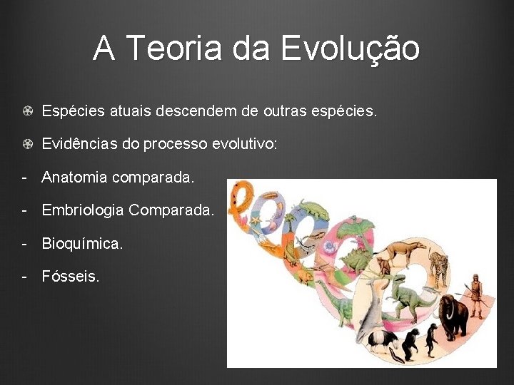 A Teoria da Evolução Espécies atuais descendem de outras espécies. Evidências do processo evolutivo: