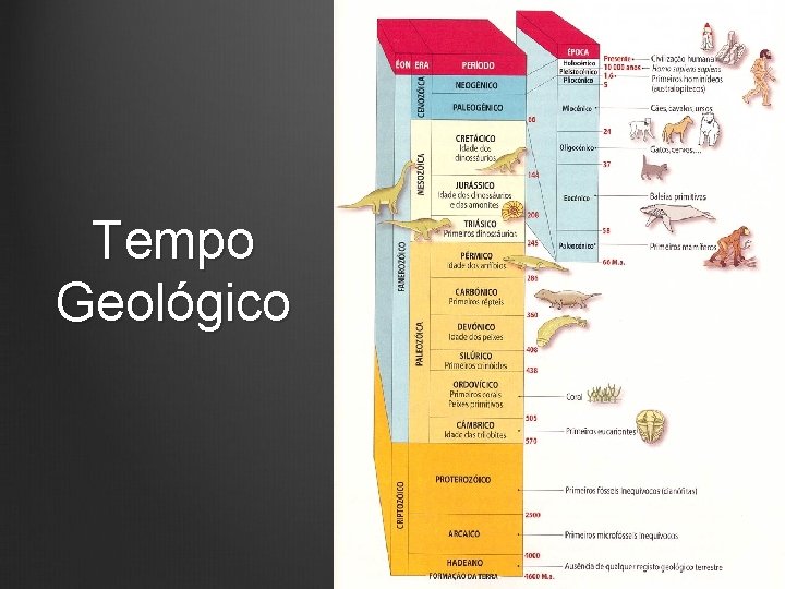 Tempo Geológico 