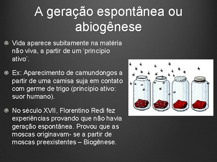 A geração espontânea ou abiogênese Vida aparece subitamente na matéria não viva, a partir