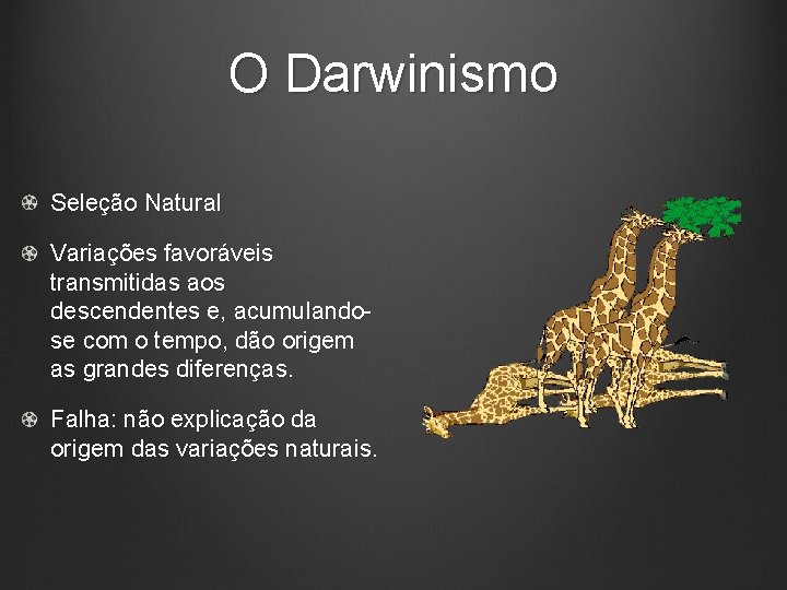 O Darwinismo Seleção Natural Variações favoráveis transmitidas aos descendentes e, acumulandose com o tempo,