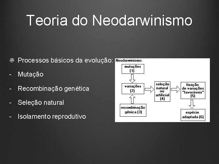 Teoria do Neodarwinismo Processos básicos da evolução: - Mutação - Recombinação genética - Seleção