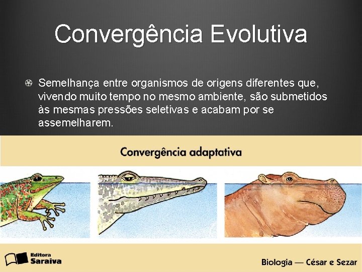 Convergência Evolutiva Semelhança entre organismos de origens diferentes que, vivendo muito tempo no mesmo