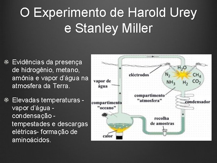 O Experimento de Harold Urey e Stanley Miller Evidências da presença de hidrogênio, metano,