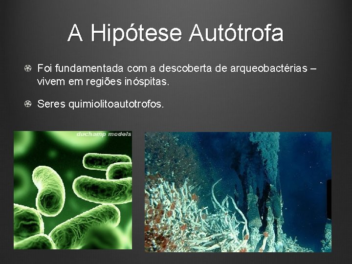 A Hipótese Autótrofa Foi fundamentada com a descoberta de arqueobactérias – vivem em regiões
