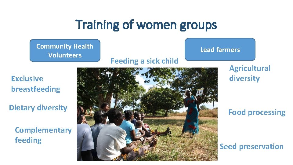 Training of women groups Community Health Volunteers Exclusive breastfeeding Dietary diversity Complementary feeding Lead