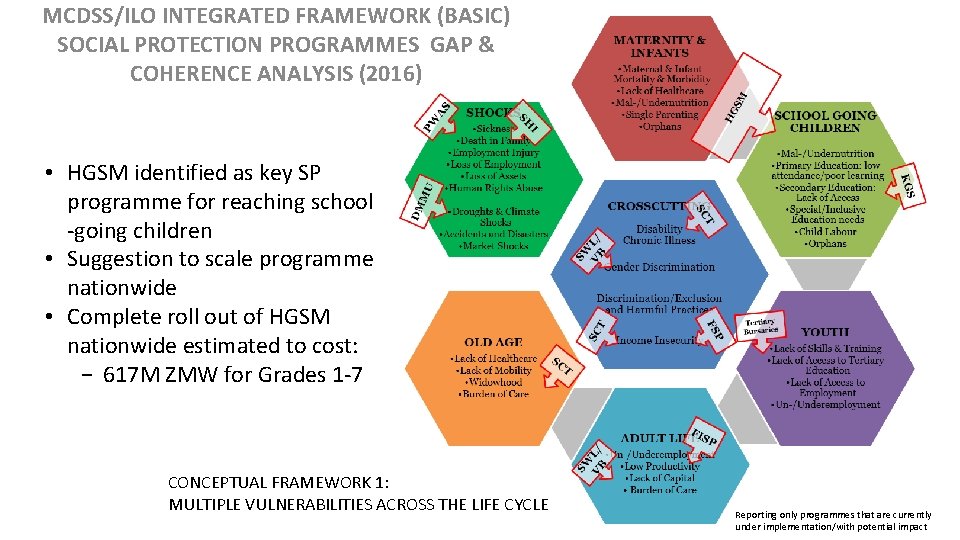 MCDSS/ILO INTEGRATED FRAMEWORK (BASIC) SOCIAL PROTECTION PROGRAMMES GAP & COHERENCE ANALYSIS (2016) • HGSM