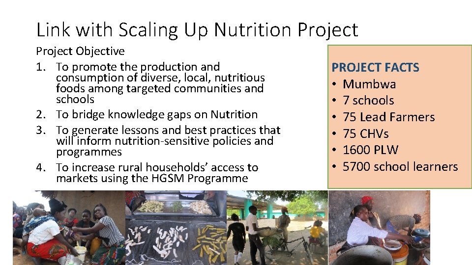 Link with Scaling Up Nutrition Project Objective 1. To promote the production and consumption